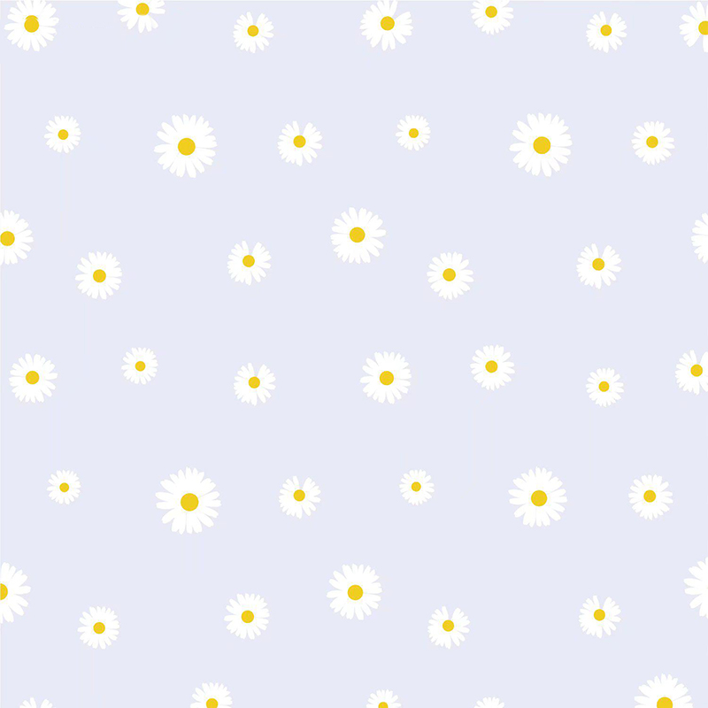 MYHC-18 Frisk Little Daisy Pearl Film Blomsterindpakningspapir