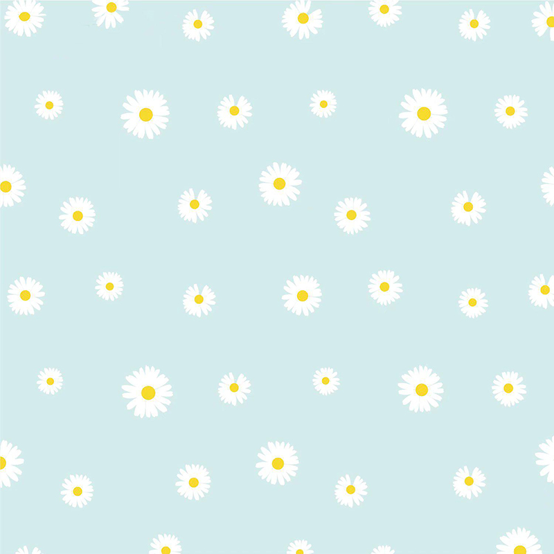 MYHC-18 Frisk Little Daisy Pearl Film Blomsterindpakningspapir