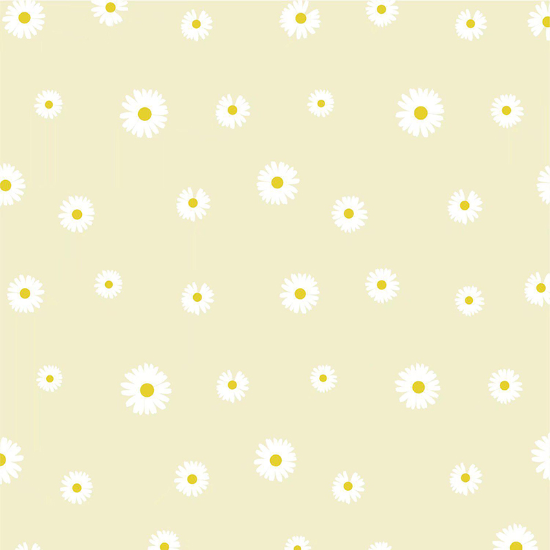 MYHC-18 Frisk Little Daisy Pearl Film Blomsterindpakningspapir